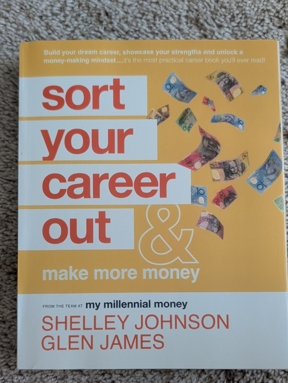 Sort Your Career Out & Make More Money Book
